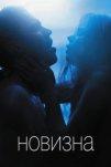 Новизна (2017)